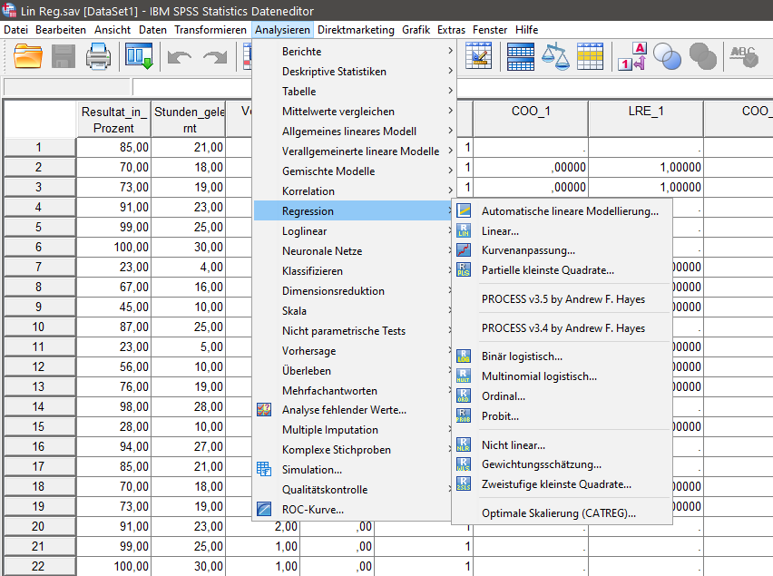SPSS Datenansicht